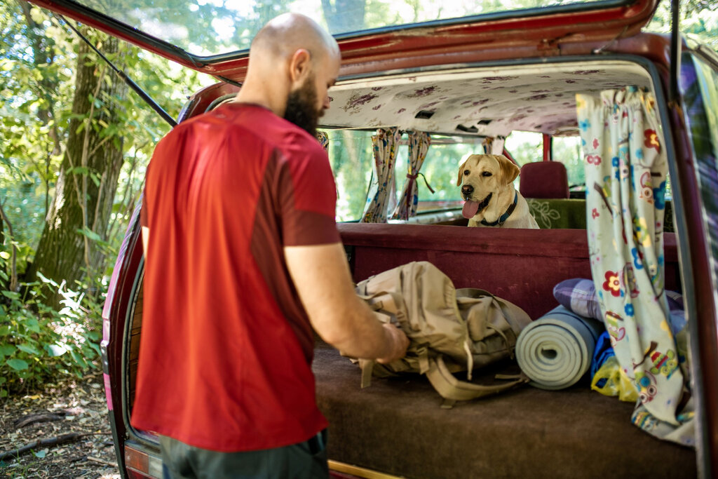 how to camp out of the back of a truck