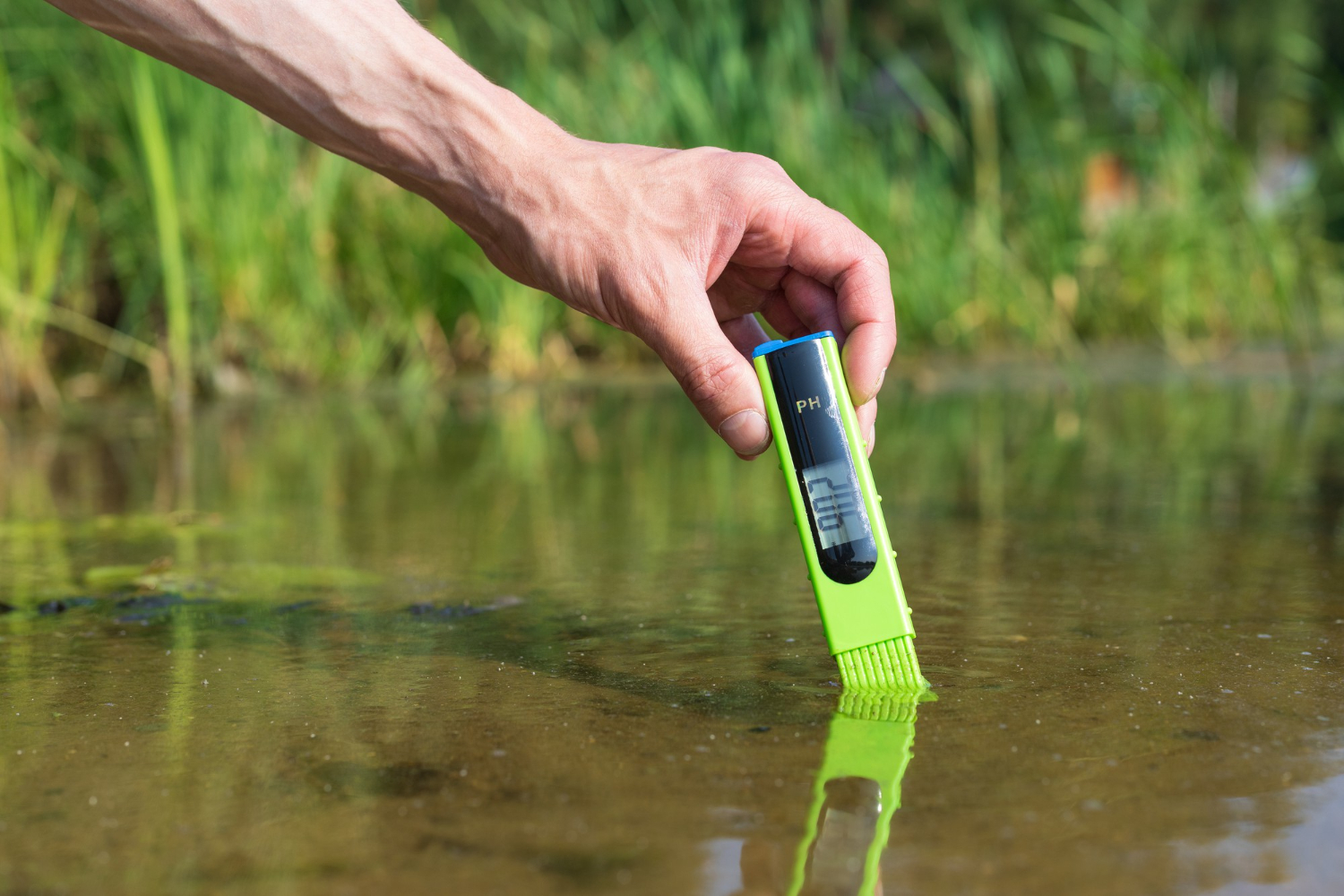 How to Test Spring Water for Potability