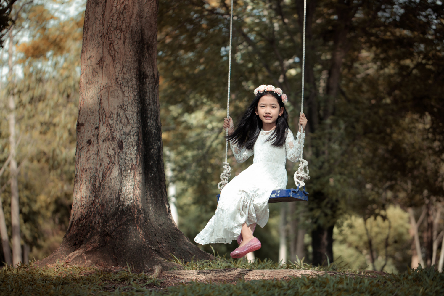 How to Hang a Tree Swing Safely