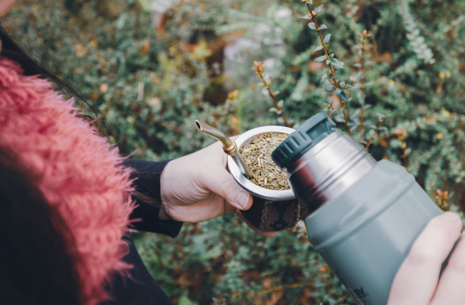 How to Use a Camping Can Opener