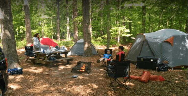 Exploring the Great Outdoors: Camping in the Finger Lakes Region
