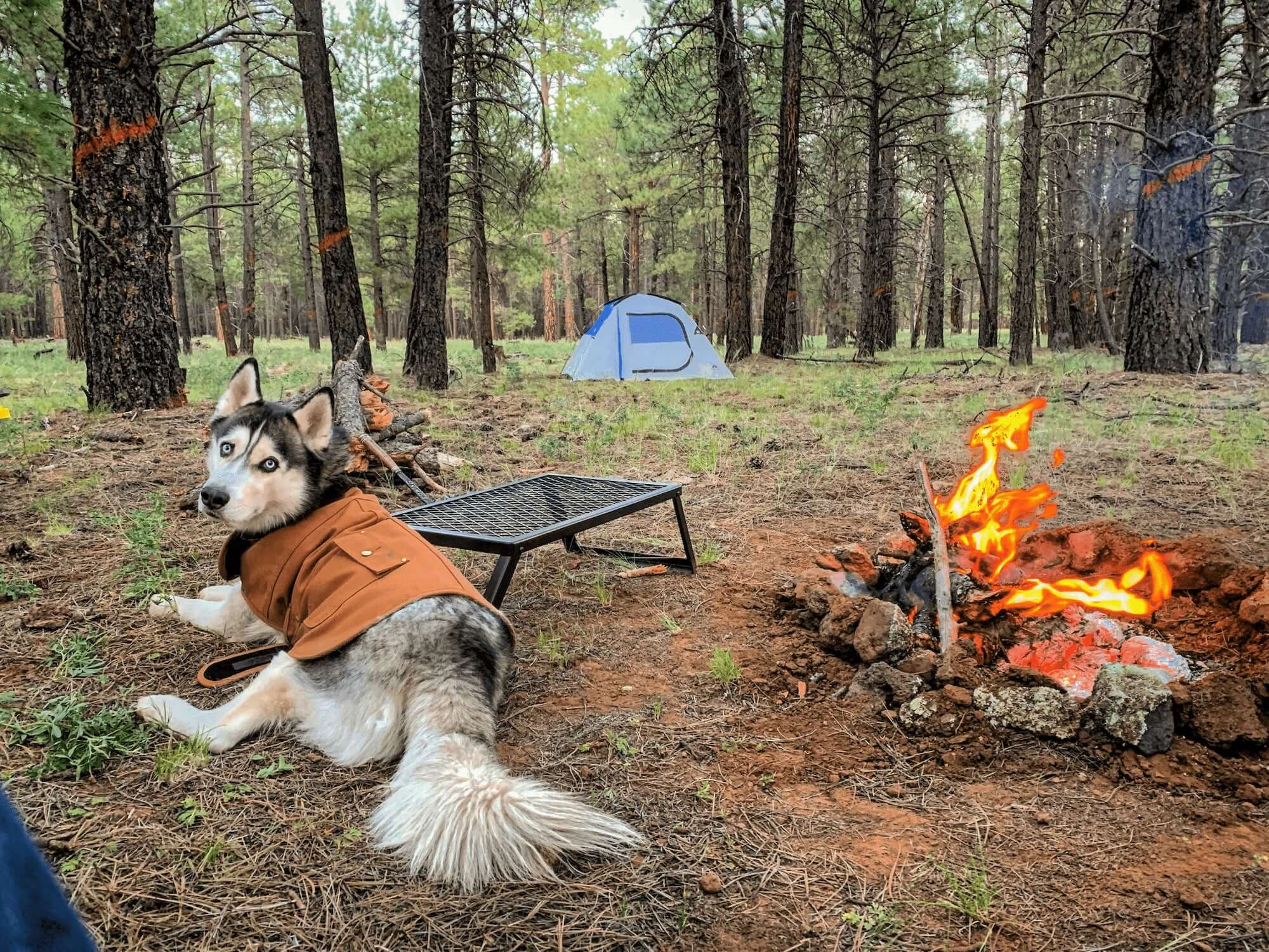 Camping Places in Arizona