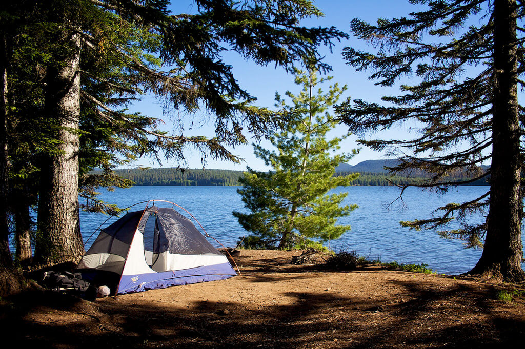 Timothy Lake Camping