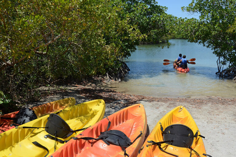 Oleta River State Park: A Haven for Outdoor Enthusiasts