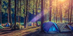 places to Camp in bay area
